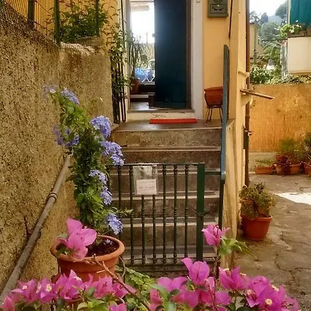 Un'oasi Di Tranquillita Lägenhet *